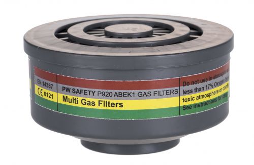 Click Here To Enlarge This Photo Of Gas Filter P920 (P920)