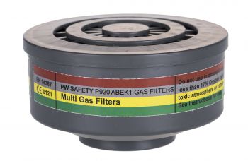 Gas Filter P920 (P920)