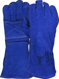 WGB-DP (Pack Of 10)