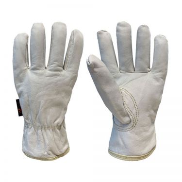 Click Here To Enlarge This Photo Of Ivory Drivers Gloves